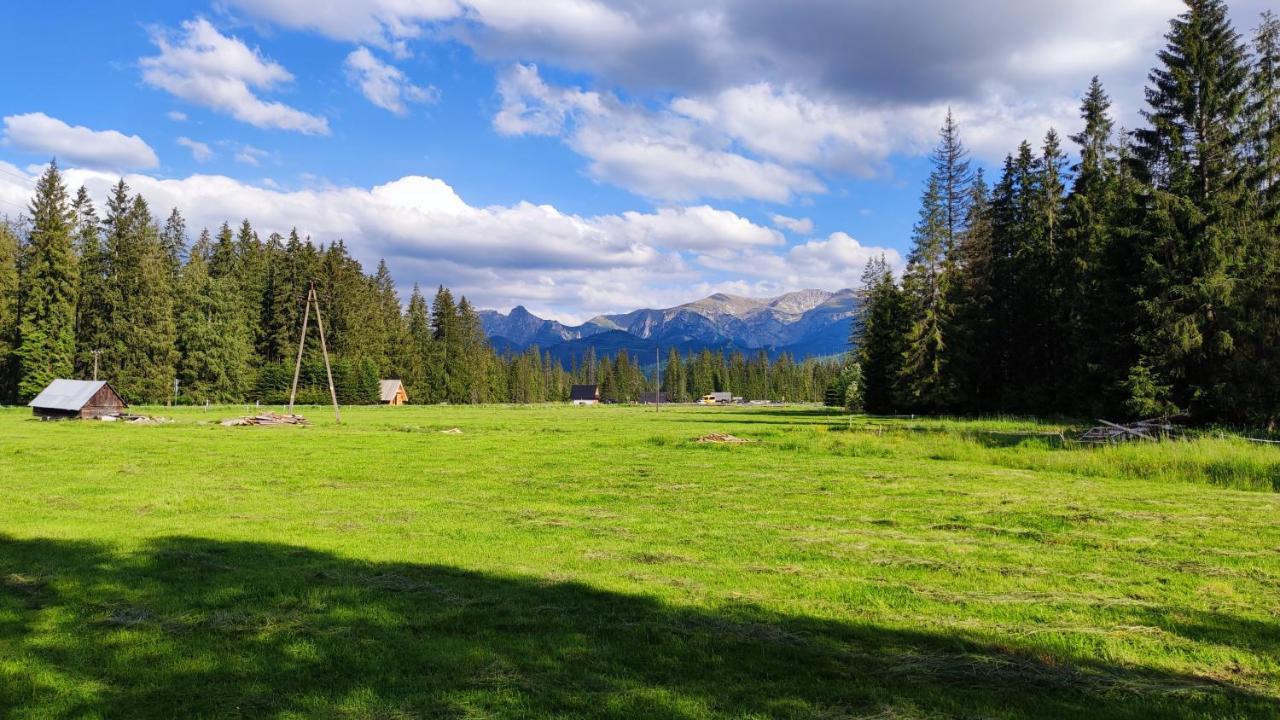 Holiday home Drewniany Szafran Witow (Tatra)