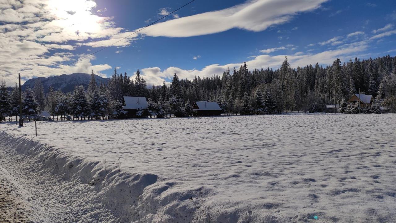 Drewniany Szafran Holiday home