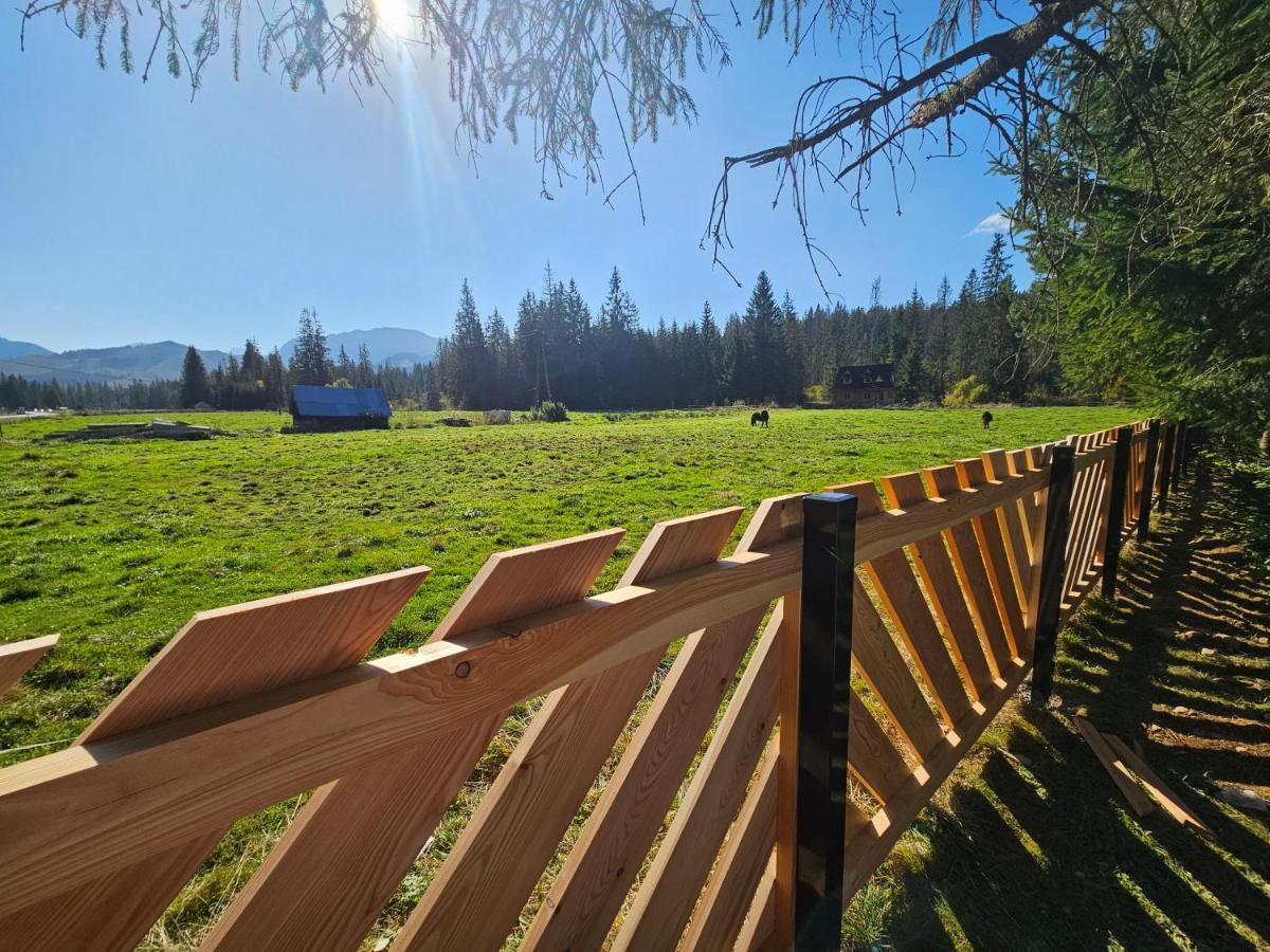 Holiday home Drewniany Szafran Witow (Tatra)