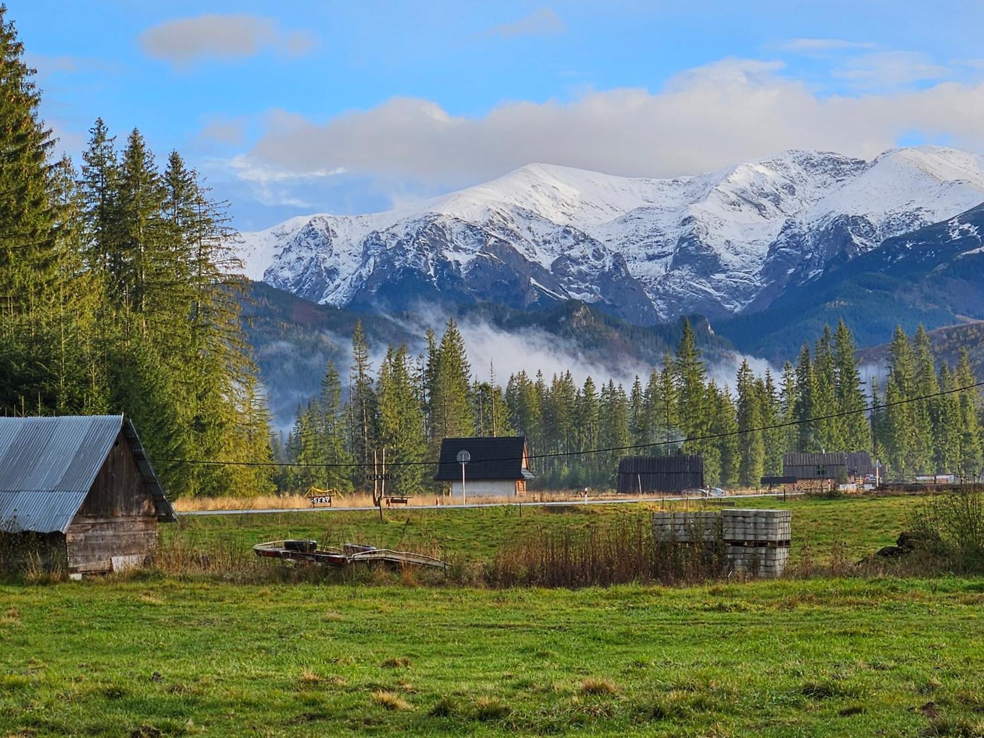 Drewniany Szafran * Witow (Tatra)