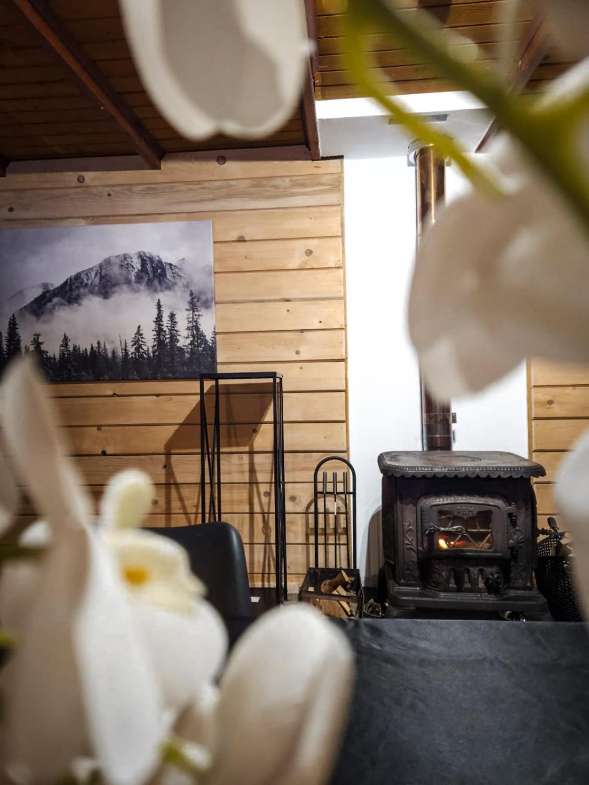Holiday home Drewniany Szafran